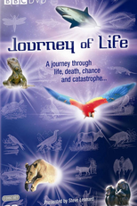 A Aventura da Vida: Evolução (Journey Of Life)