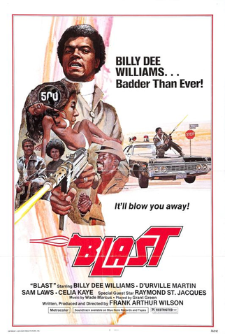 Poster 2 de Filme The Final Comedown (1972)