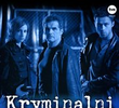 Kryminalni (8ª Temporada)