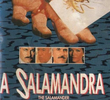 A Salamandra