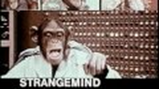 Trailer: Lancelot Link Secret Chimp Intro (the 70's)