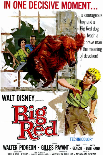  de Filme Astúcia de um Rebelde (1962)