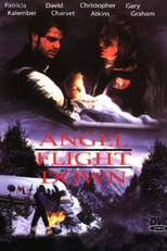 Vôo do Desespero (Angel Flight Down)