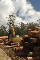 Tasmania's Clean Green Future: Too Precious to Pulp? (Tasmania's Clean Green Future: Too Precious to Pulp?)