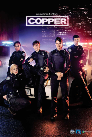 Poster 2 de Série Rookie Blue (2ª Temporada) (2011)