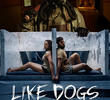 Like Dogs