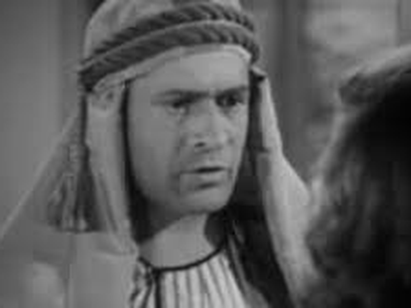 Foto 6 de Um Ianque na Líbia