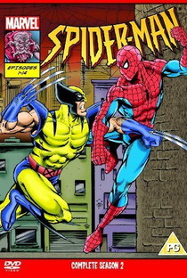 Homem-Aranha: A Série Animada (2ª Temporada) - Poster / Capa / Cartaz - Oficial 1