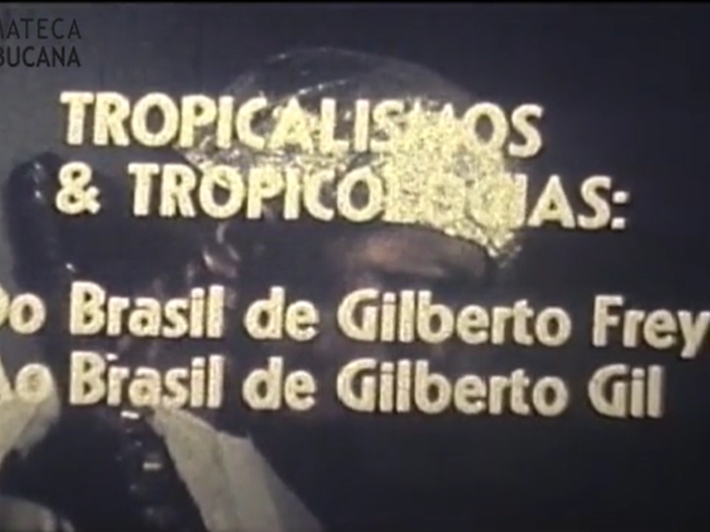 Foto 2 de Gilbertianas Brasileiras