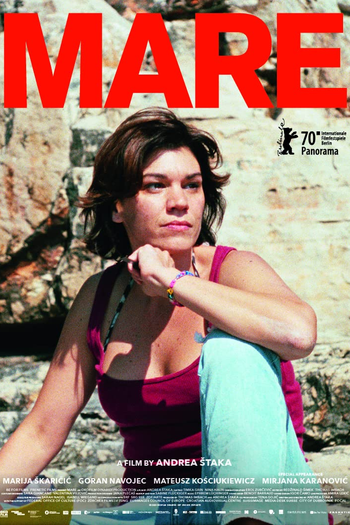 Poster de Filme Desejo de Voar (2020)