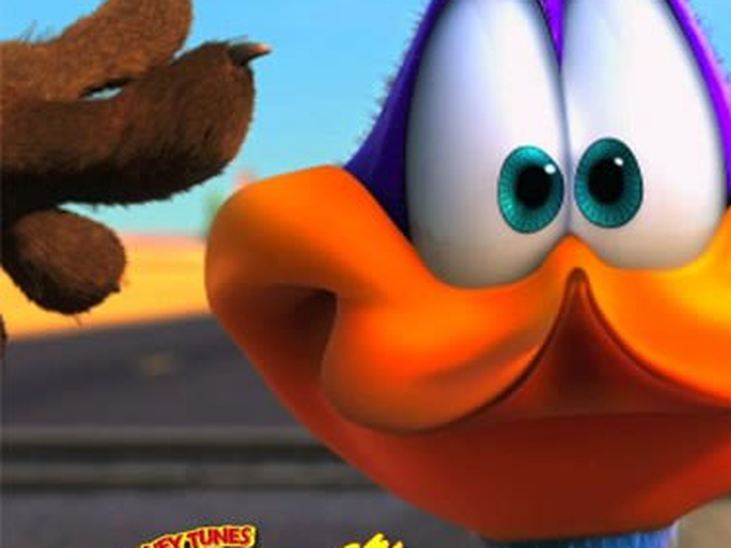 Foto 7 de As Quedas do Coyote