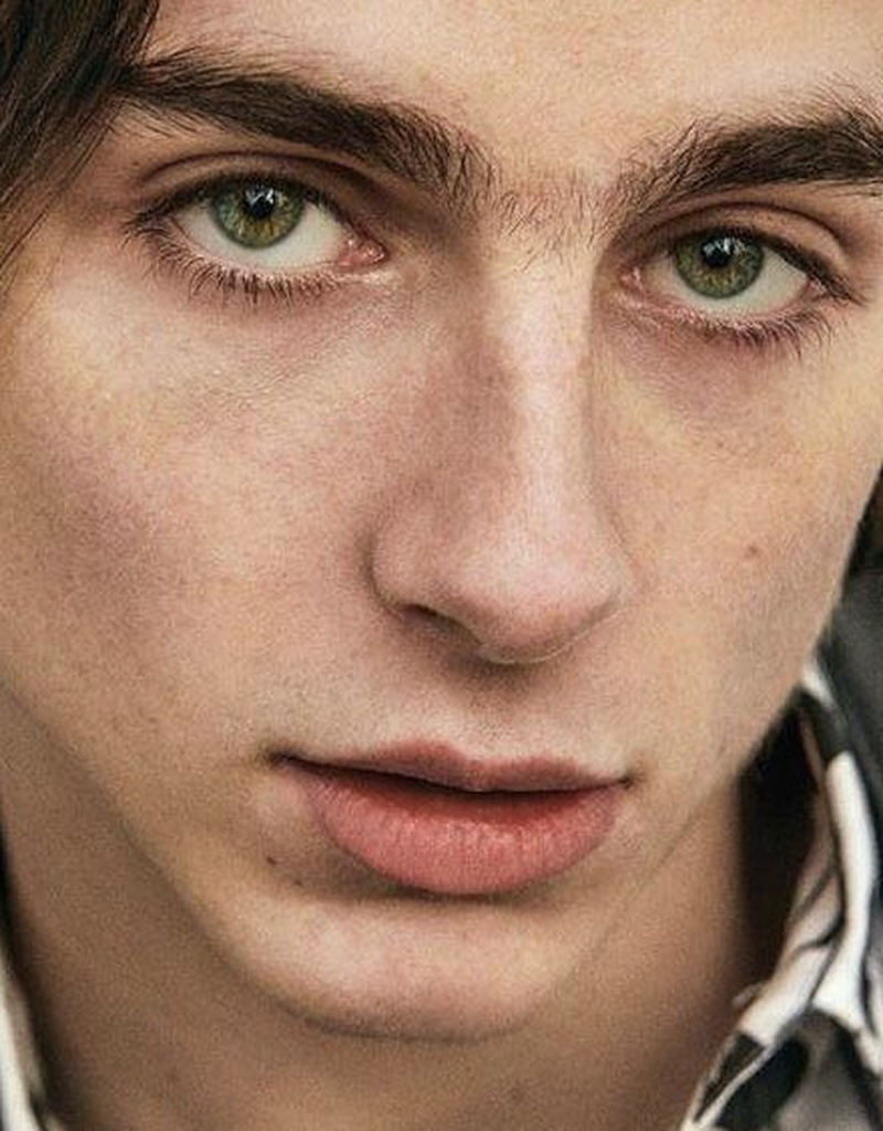 Timothée Chalamet - Foto 1