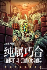 What a Coincidence (纯属巧合)