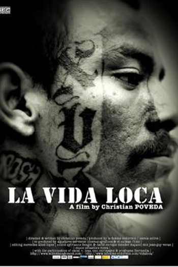 Poster de Filme A vida louca (2008)