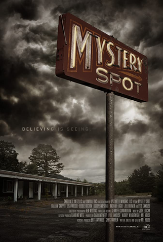 Poster 1 de Filme Mystery Spot (2021)