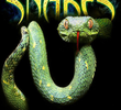 Documentario Animal - O Mundo das Cobras