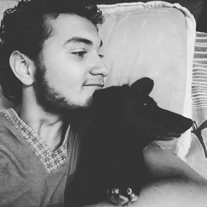 Foto de perfil de Daniel Pereira