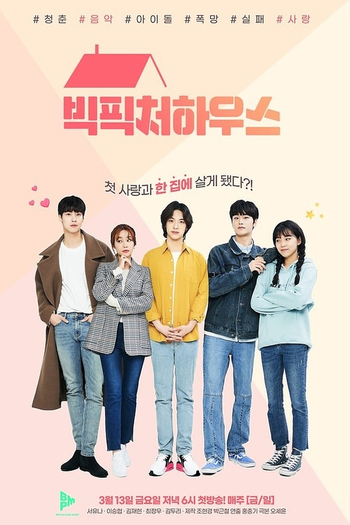 Poster de Franquia 빅피처 하우스 (2020)