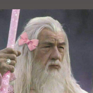 Foto de perfil de Julia Ferreira