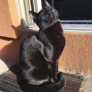 Foto de perfil de José