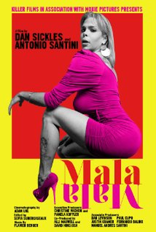 Poster 1 de Filme Mala Mala (2014)