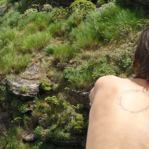 Foto de perfil de Fernando Quaranta