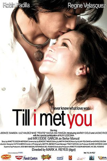 Poster de Filme Till I Met You (2006)