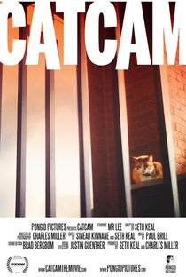 CatCam - Poster / Capa / Cartaz - Oficial 1