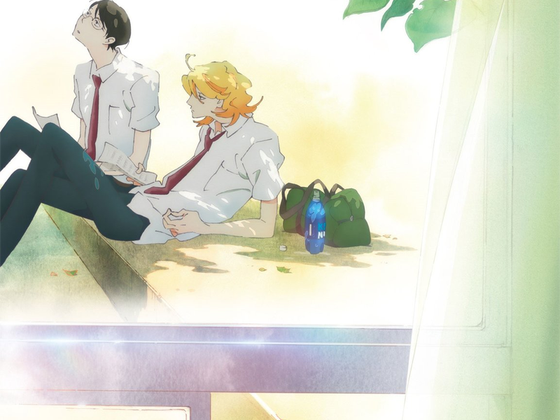 Foto 1 de Colegas de Classe