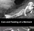 Care and Feeding of a Mermaid