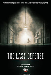 The Last Defense (1ª Temporada) - Poster / Capa / Cartaz - Oficial 1