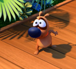 Ecolo Paf