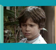 Danton Mello