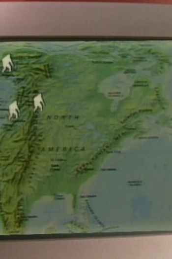 Poster de Episódio Bigfoot (1993)