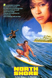 Surf no Hawaí - Poster / Capa / Cartaz - Oficial 1
