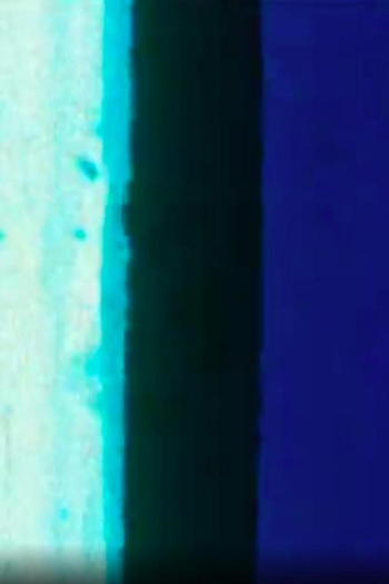 Poster de Curta La petite mort (1998)