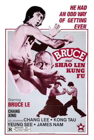 Poster 1 de Filme Bruce and Shaolin Kung Fu (1977)