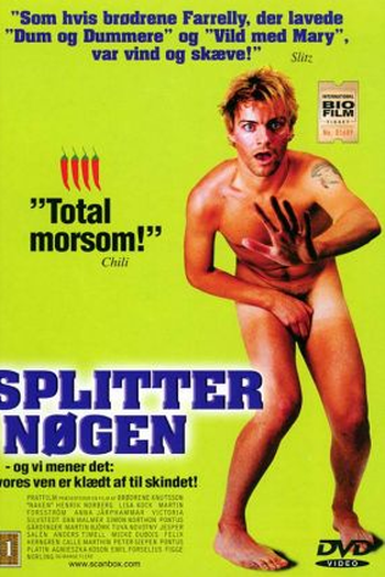 Poster de Filme Naked (2000)