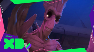 Trailer: Atalho | Rocky & Groot #8