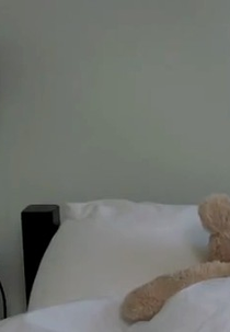 Misery Bear - Day Off (Misery Bear - Day Off)