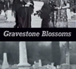 Gravestone Blossoms