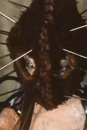 Poster de Curta For Almost Forgotten Stories (1994)