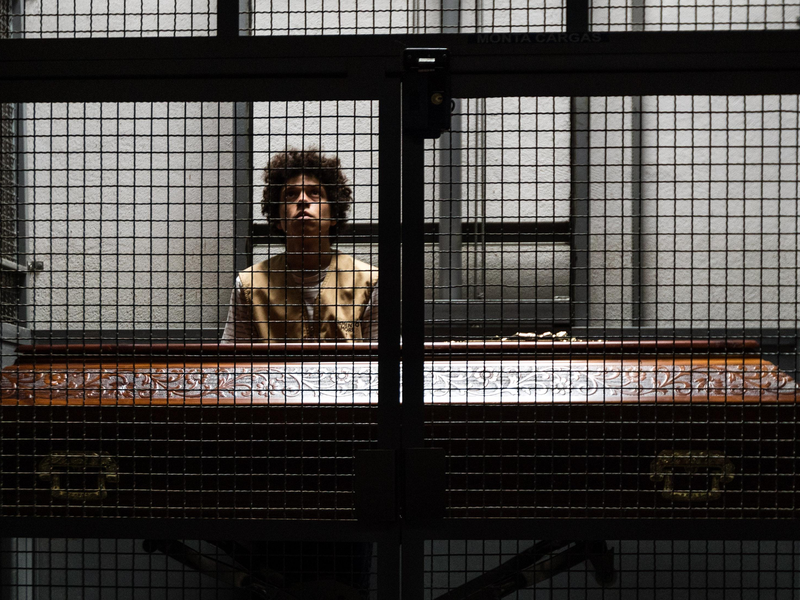 Foto 2 de Sonhar com Leões