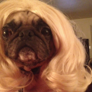 Foto de perfil de Aline