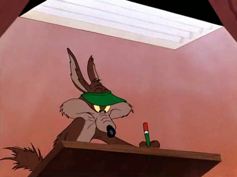 Foto 5 de Operação: Coelho