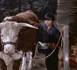El Toro Grande