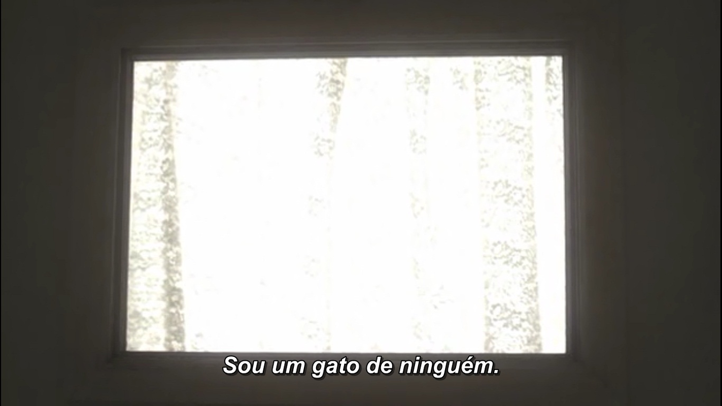 ブラジ - Foto 2