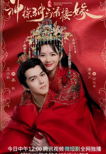 Detective Husband I've Never Met (神探驸马请接嫁)