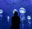 Messaggeri dell’oscurità