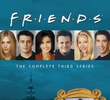 Friends (3ª Temporada)